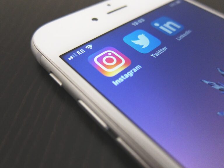 Unlocking Success: Social Media Marketing Strategies for Ecommerce Websites Using Google and Facebook Ads